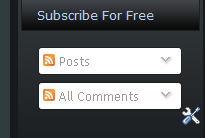 [Subscription Widget[4].png]