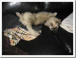 IMG_0457 IMG_0457