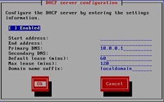 dhcp dhcp