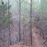 IMG_1055.JPG