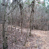 IMG_1102.JPG