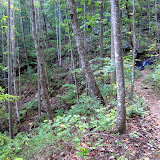 IMG_0051.JPG