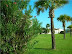 Luscious greenery abounds