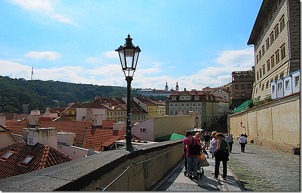 IMG_7824 IMG_7824