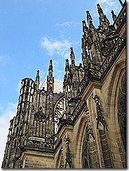 IMG_7855 IMG_7855