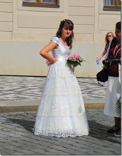 IMG_7837 IMG_7837