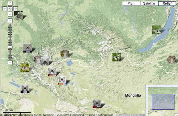 Localisation des photos : Monts Saur (Kazakhstan), Altaï (Kazakhstan, Russie), Mongolie, Lac Baïkal et Bouriatie (Russie)