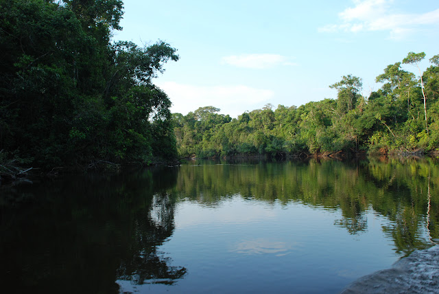 La rivière Cristalino, affluent du Rio Sao Manuel, lui-même tributaire du Tapajos, en novembre 2009. Photo : Re Mendes
