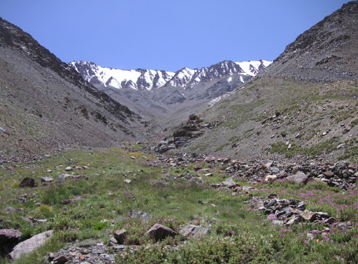 Vallée de la Sasyk, 4100 m (Muzkol Range). 27 juillet 2007. Photo Jean Michel