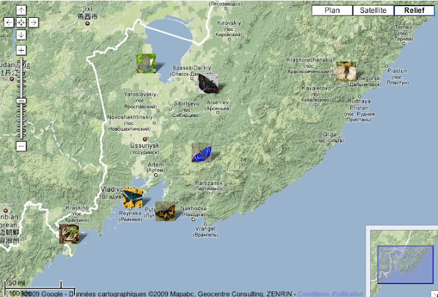 Localisation des expéditions proposées : Sud-Ouest (Luehdorfia puziloi) : Andreevka & Lac Khasan. Sud (Papilio maacki) : les îles près de Vladivostok. Sud (Sephisa princeps) : les îles près de Nakhodka. Centre (Apatura iris) : Livadyiskyi et Vorobei Mts. Centre Nord (Seokia pratti) : Monts Sinyi. Nord-Ouest (Vacciniina optilete) : le Lac Khanka. Nord-Est (Parnassius stubbendorfii) : Dal'negorsk