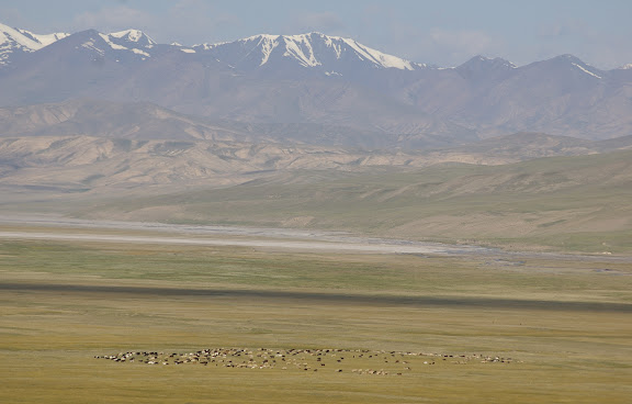 Le Terskey Alatau vu depuis les premières pentes du Koksaal (11 juillet 2006). Photo : J.-M. Gayman