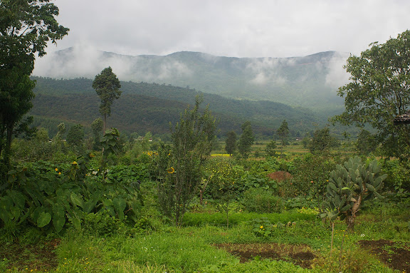 La campagne, juste à l'Ouest de Baisha (2500 m), 19 août 2010. Photo : J.-M. Gayman