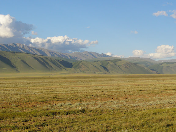 La steppe entre Kuraï et Kosh Agatch, 8 juillet 2010. Photo : B. Lalanne-Cassou