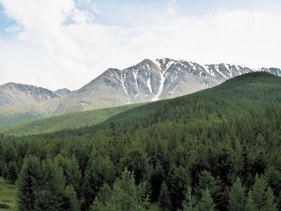 Les Monts Severo-Chuyskij (au nord d'Aktash) dans la chaîne du Kurai dans l'Altaï, près d'Aktash. 13 juillet 2010. Photo : J. Marquet