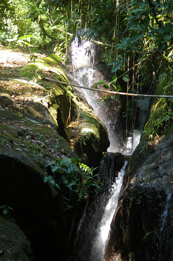 Cascade dans la Fazenda d'Arariba (Ubatuba, SP), 22 février 2011. Photo : J.-M. Gayman