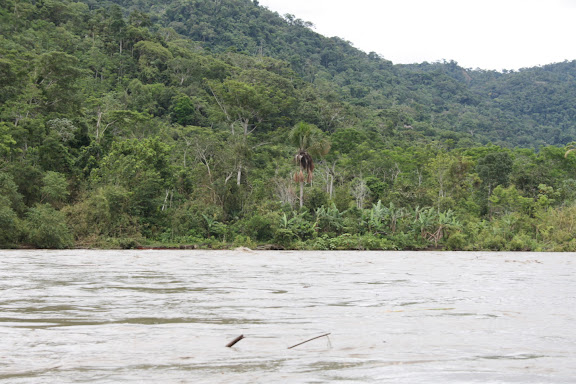 Sur le Madre de Dios (Pérou), au sud du confluent avec la Manu : les collines de Pantiacolla. 12 décembre 2008. Photo : Benoit Nabholz