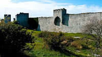 089__D3C1415.jpg