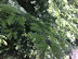 20100605134.jpg