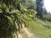 20100605136.jpg