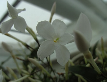 BILD0355