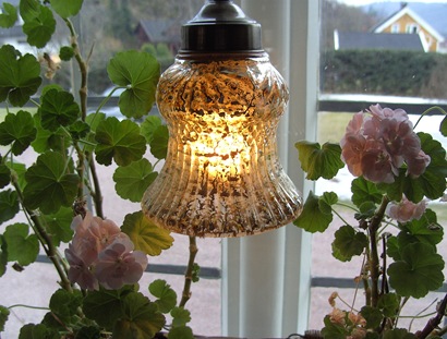 BILD0476