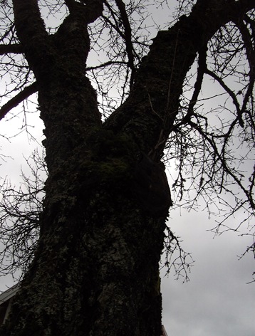 BILD0106