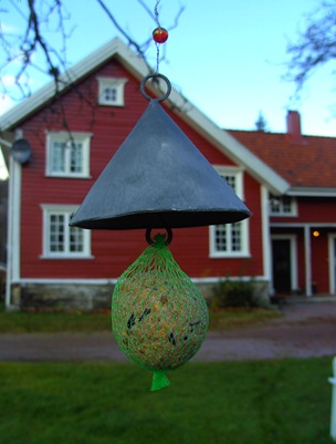 BILD0215