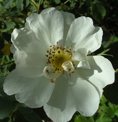BILD0752