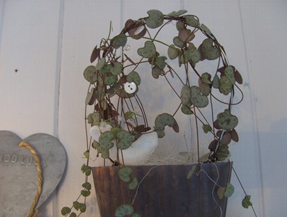 BILD0789