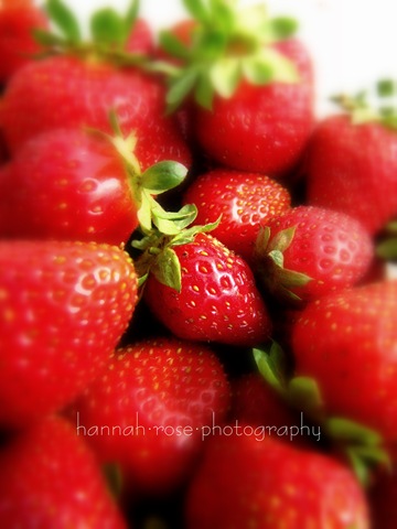 [Strawberries1082.jpg]