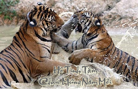 http://lh3.ggpht.com/_6nktQOihaMo/S21FA_8WzZI/AAAAAAAAJXo/cbYka7zAv5U/090428094037-251-421.jpg