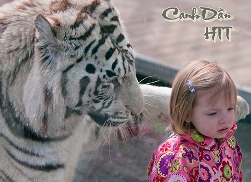 http://lh3.ggpht.com/_6nktQOihaMo/S21FS__GLJI/AAAAAAAAJYM/HSt2MwJ2pwg/090509081047-311-38.jpg