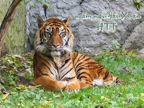 http://lh3.ggpht.com/_6nktQOihaMo/S21Ge3eitqI/AAAAAAAAJY8/fWW4vMDFVn8/cop.2010.jpg
