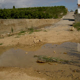 PICT7901.JPG