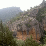 PICT7930.JPG