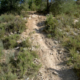 PICT8019.JPG