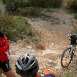 PICT8298.JPG