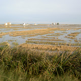 PICT8327.JPG