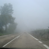 PICT8335.JPG