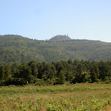 PICT8340.JPG