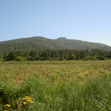 PICT8341.JPG