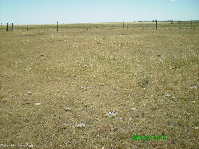 [PICT003911.jpg]