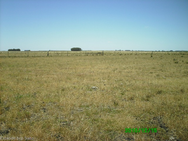 [PICT000911.jpg]