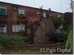 El País Digital El País Digital