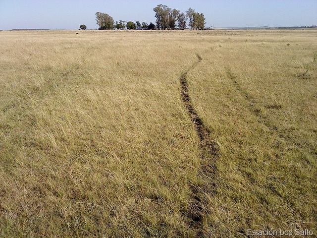 [Viaje al Campo (16.1.11) (11)[5].jpg]