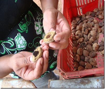 brasil_rural_srzd brasil_rural_srzd
