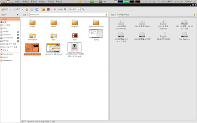 gnome-2.29-3.png