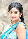 Vimala Raman