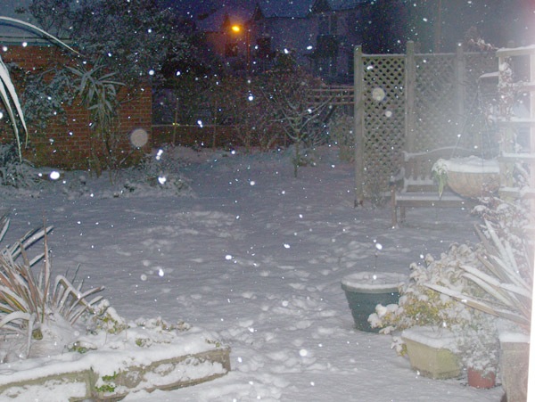 [snow1[4].jpg]