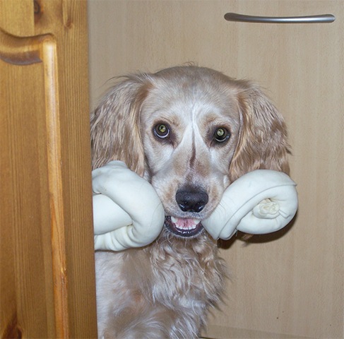[charlie_bone[4].jpg]